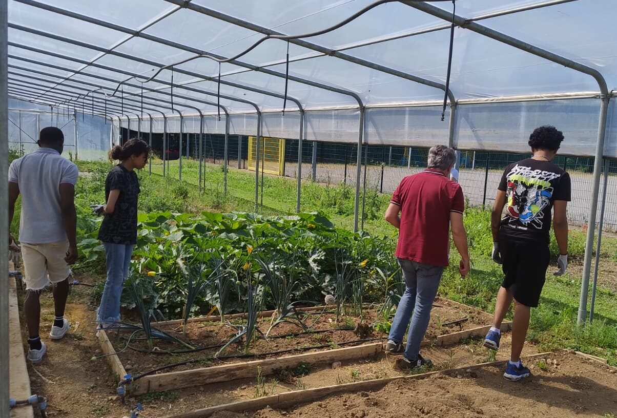 NEET autentici e dove trovarli