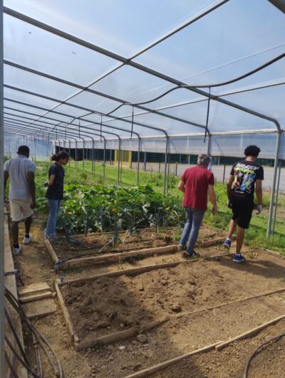 Aperti Orizzonti_Training week 6