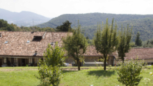 Volontari in comunità