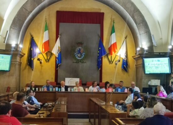 conferenza stampa (3)