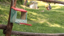 Sono aperte le iscrizioni ai campi estivi Naturando 2021