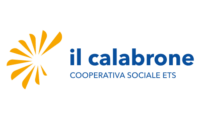 il calabrone il calabrone