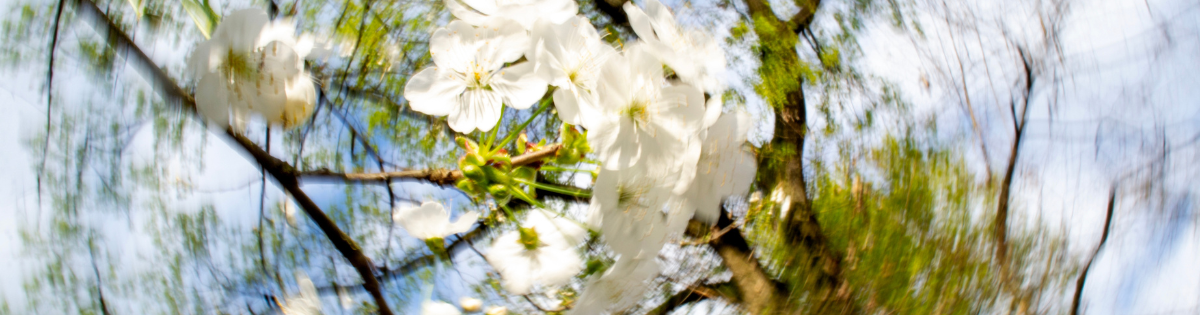 Mi vedi male? Tra Movimento e Radici. Adolescenza e Natura attraverso la Fotografia