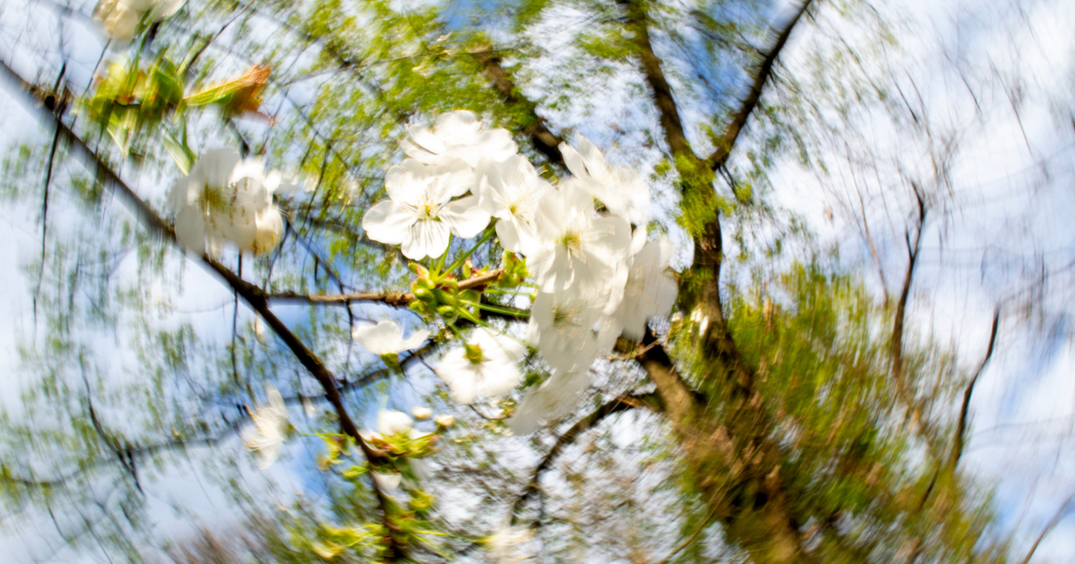 Mi vedi male? Tra Movimento e Radici. Adolescenza e Natura attraverso la Fotografia