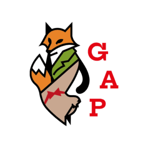 immagini in evidenza portfolio GAP