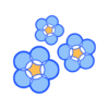 myosotis immagine in evidenza trasp