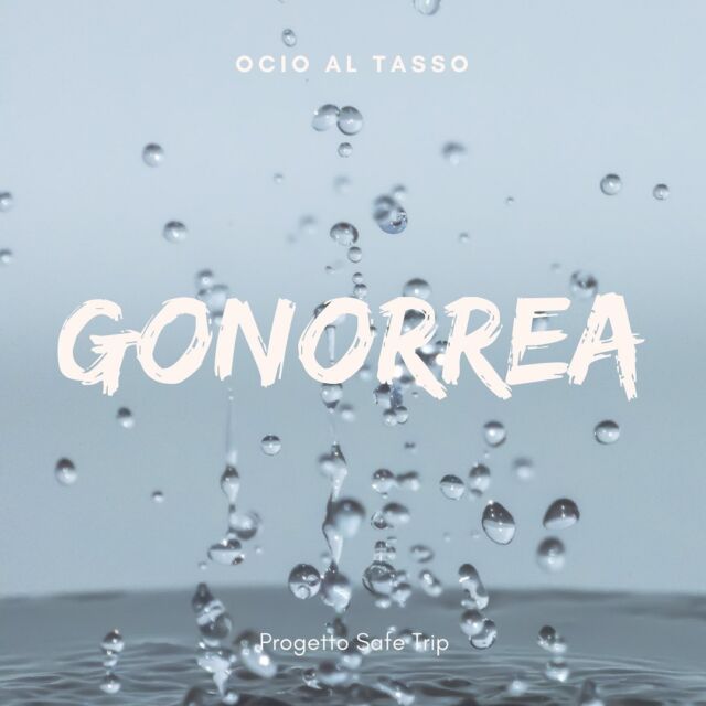 MTS del giorno: Gonorrea. 

Lo sapevi? Una volta contratta, Circa il 20% degli uomini e più del 50% delle donne non presentano sintomi. 

La gonorrea, inoltre, aumenta la probabilità di infettarsi con il virus dell’HIV e – così come che per la sifilide - si può prendere nuovamente anche se ci si è già infettati e curati in passato 

Quando si inizia la cura, è importante non avere rapporti sessuali sino al termine del trattamento per evitare di infettarsi di nuovo. Ancora una volta, #ocioairapporti 

#mts #ist #safesex #consapevolezza #rischio #ilcalabrone #informazione #limitazionedeirischi #harmreductionworks #staysafe #safetrip