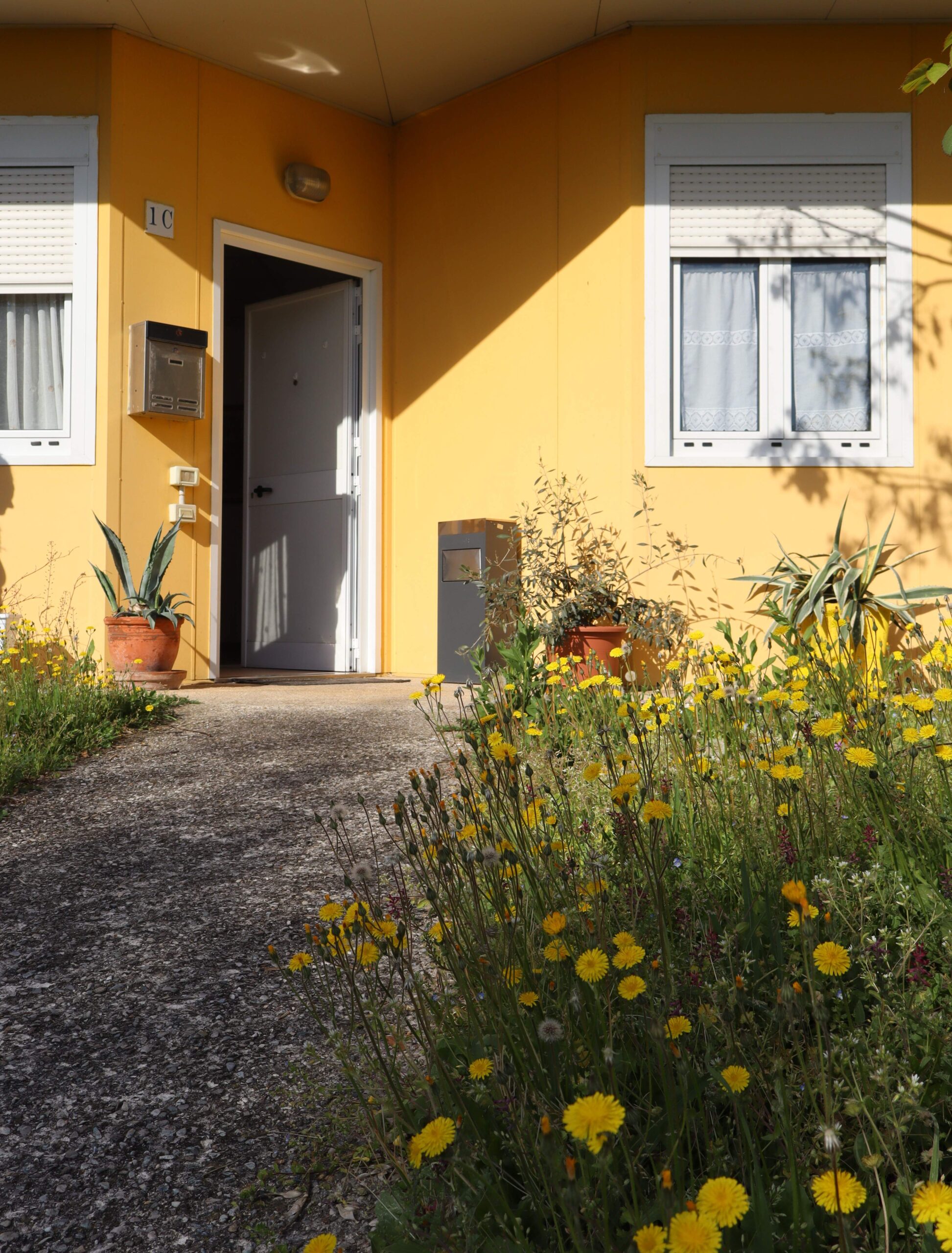 villaggio-solidale-esterno (1)