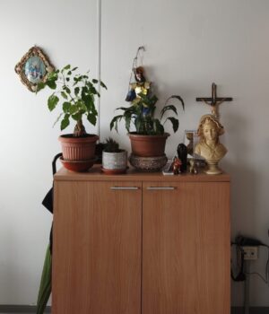 villaggio-solidale-interni (1)
