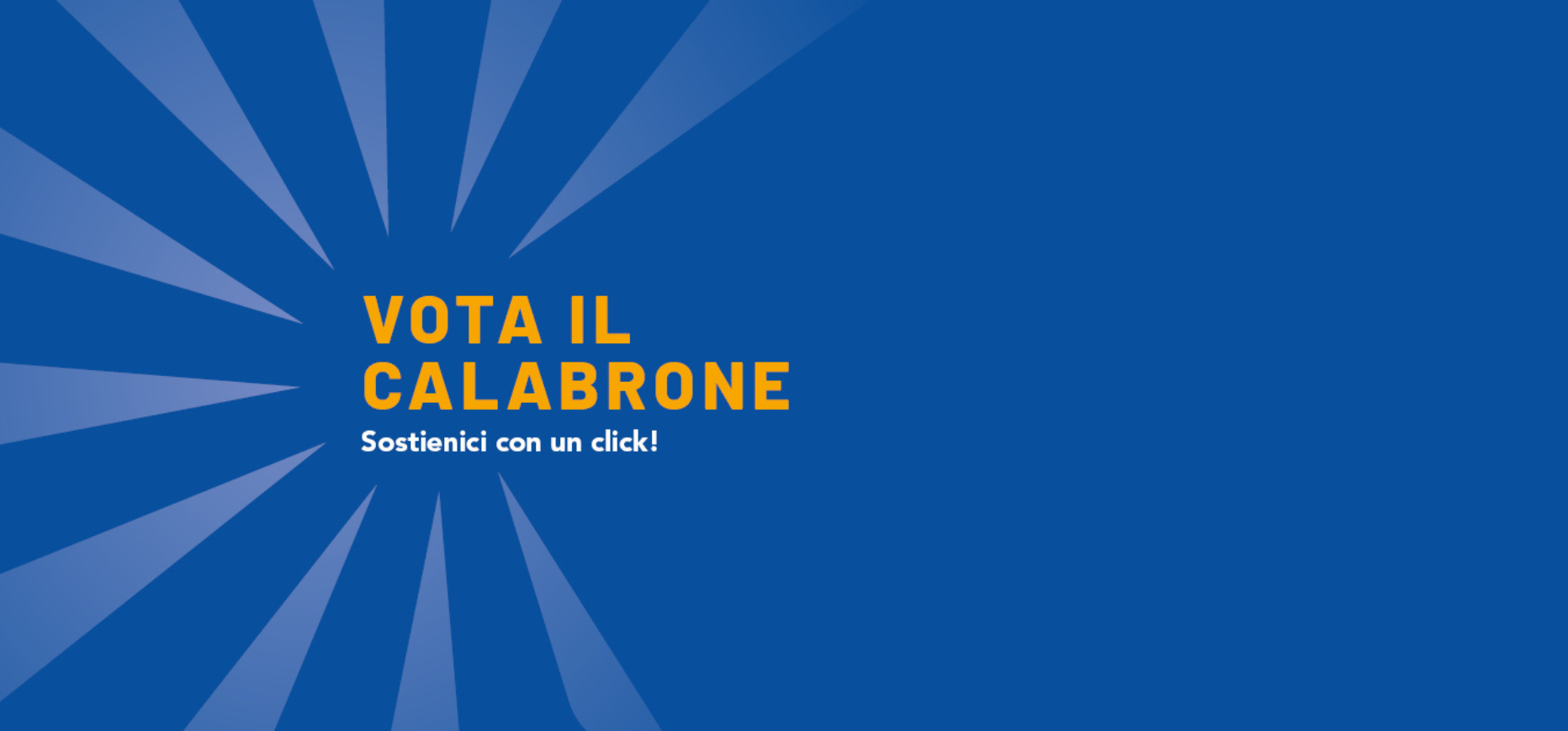 vota il calabrone